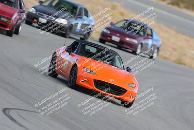 media/Nov-18-2023-Extreme Speed (Sat) [[10c227f63a]]/5-Blue/turn 9/